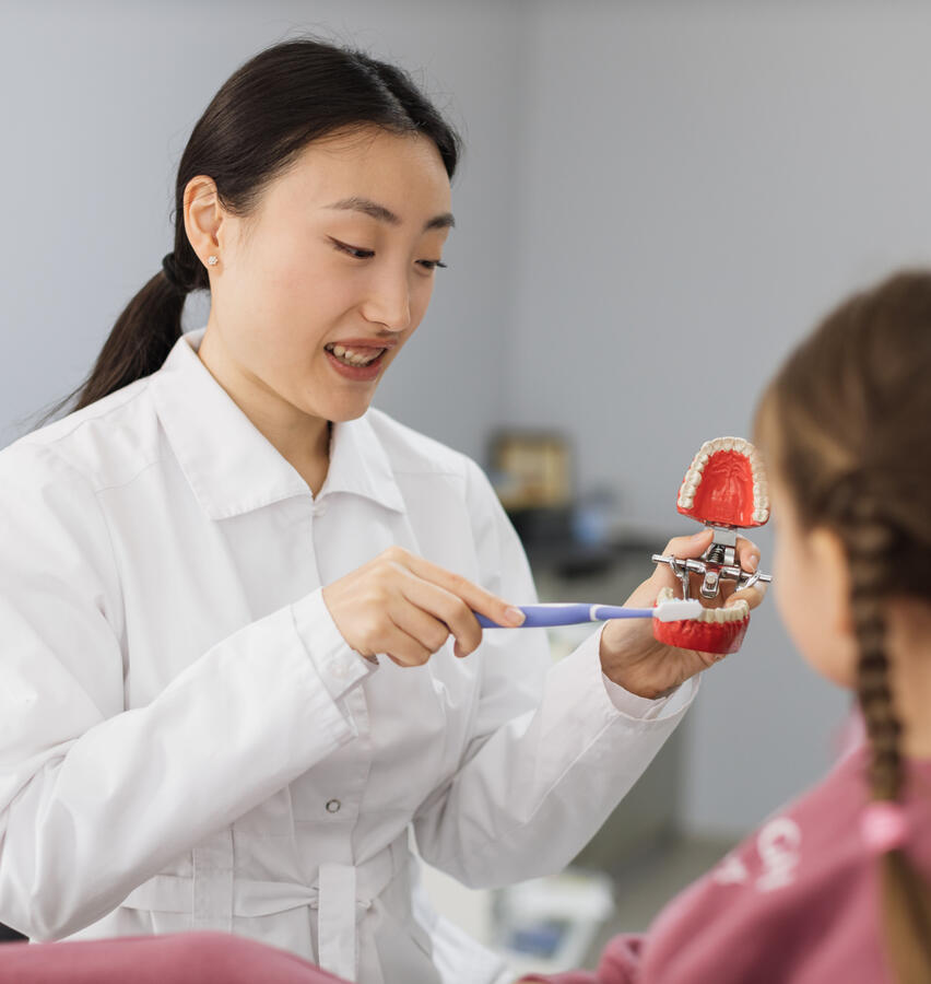An asian dentist holding a mouth contraption, show a young girl how to brush her teeth.